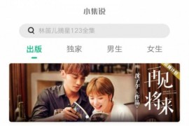 手机在线阅读精选小说app页面html模板