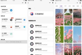「亲测」头像挂件制作短视频去水印综合工具微信小程序